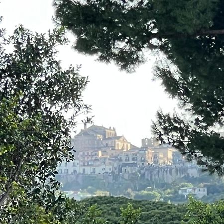 House Corso Calatafimi Βίλα Παλέρμο Εξωτερικό φωτογραφία